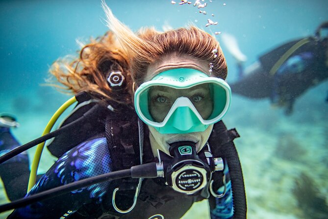 Try Dive - PADI Discover Scuba Diving in Tenerife - Key highlights worth knowing