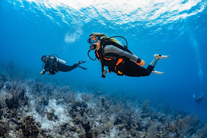 Try Dive - PADI Discover Scuba Diving in Tenerife - What you do before you ever go underwater