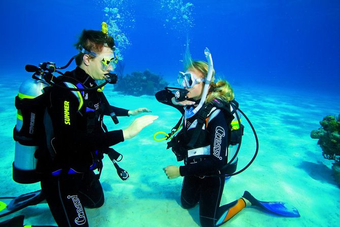 Try Dive - PADI Discover Scuba Diving in Tenerife - Small groups make the coaching feel personal