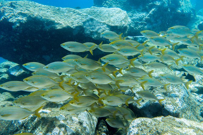 Try Dive - PADI Discover Scuba Diving in Tenerife - A few practical tips before you go