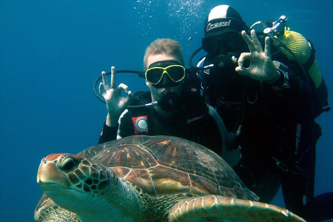 Try Scuba Diving in a turtle area (boat) - Key things I’d mark on your mental checklist