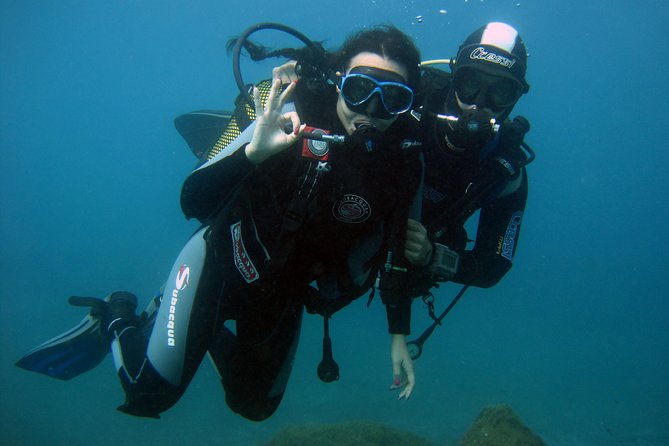 Try Scuba Diving in a turtle area (boat) - Try Scuba in Costa Adeje: what makes it worth $84.66