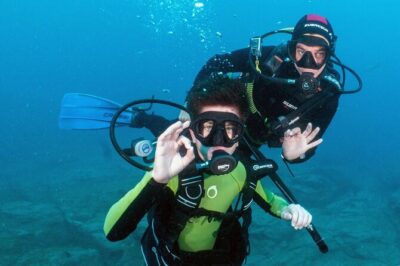 Try Scuba Diving in a turtle area (boat) - The 2.5-hour flow: how the experience usually plays out