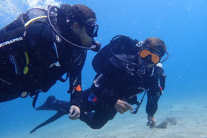 Try Scuba Diving in Lanzarote (No experience needed) - Key Things You’ll Care About