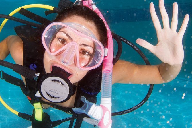 Try Scuba Diving in Lanzarote (No experience needed) - The Reef Plan Around Lanzarote: Beginner-Friendly Marine Life Without the Pressure