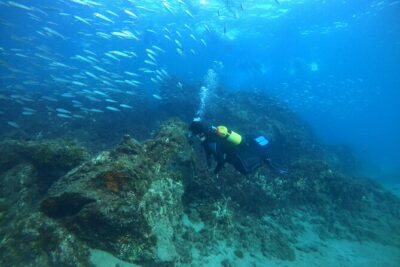 Try Scuba Diving with 2 Ocean Dives - What You Actually Do: 5 Meters First, Then 12 Meters