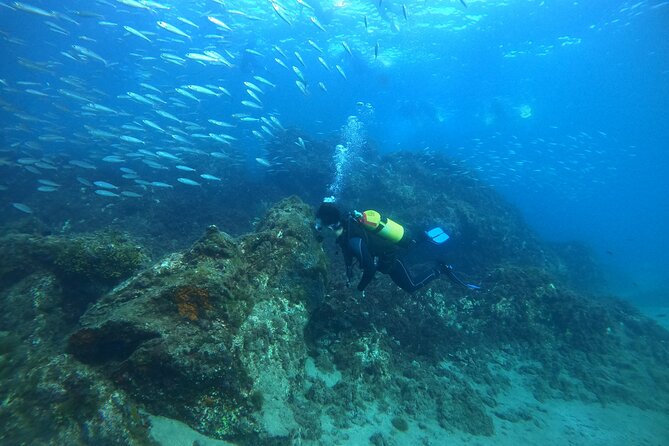 Try Scuba Diving with 2 Ocean Dives - What You Actually Do: 5 Meters First, Then 12 Meters
