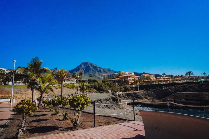 Tuk Tuk Tours in Costa Adeje - Group vs private tuk tuk: comfort, mobility, and how to choose