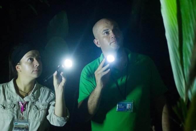 Turtle Tour - Guides: Carlos, Bernie, and Luis—and what they tend to do well