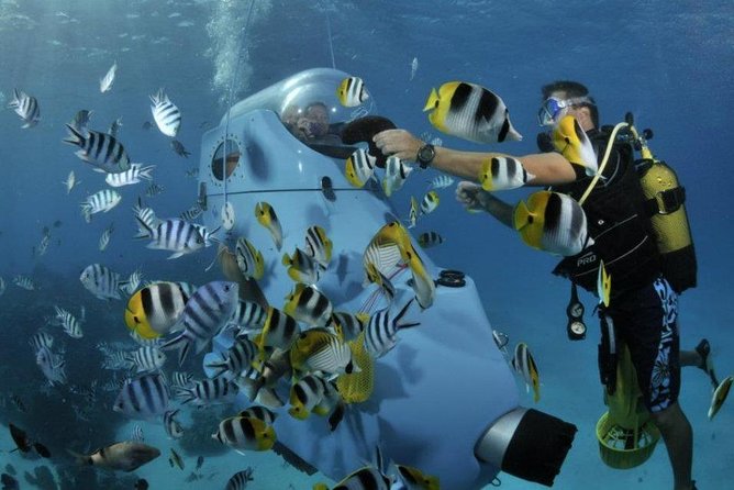 Underwater Scooter - What you get after the ride: towels, drinks, fruit, and photo keepsakes