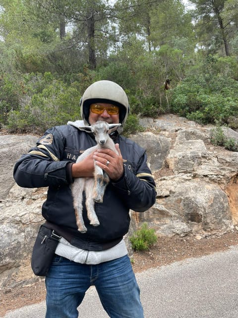 V8 Trike Tour mit Fahrer/Guide für max 4Gäste - Serra de Tramuntana: UNESCO Cliffs, Torre de es Verger, and Sea Views