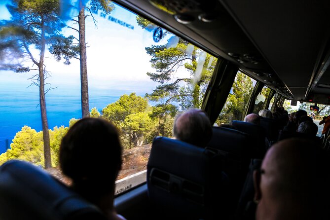 Valldemosa and Valley of Soller Tour in Mallorca - Sóller old town: oranges, modernist stops, and art for two famous names