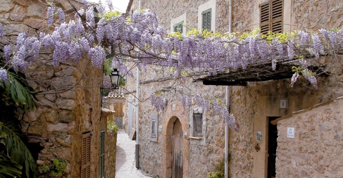 Valldemossa: Discover Valldemossa with a transfer from Palma - From Palma To Tramuntana: Why This Transfer Works