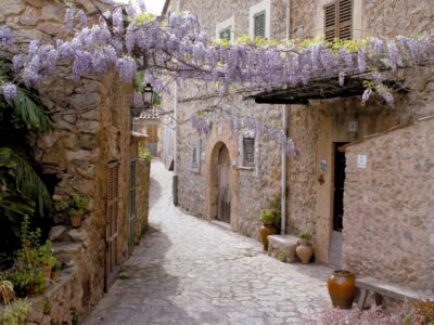 Valldemossa: Discover Valldemossa with a transfer from Palma - Palma Pick-Up Details (So You Don’t Lose Time)