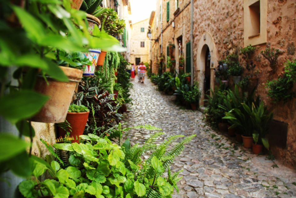 Valldemossa: Discover Valldemossa with a transfer from Palma - Should You Book This Valldemossa Transfer?