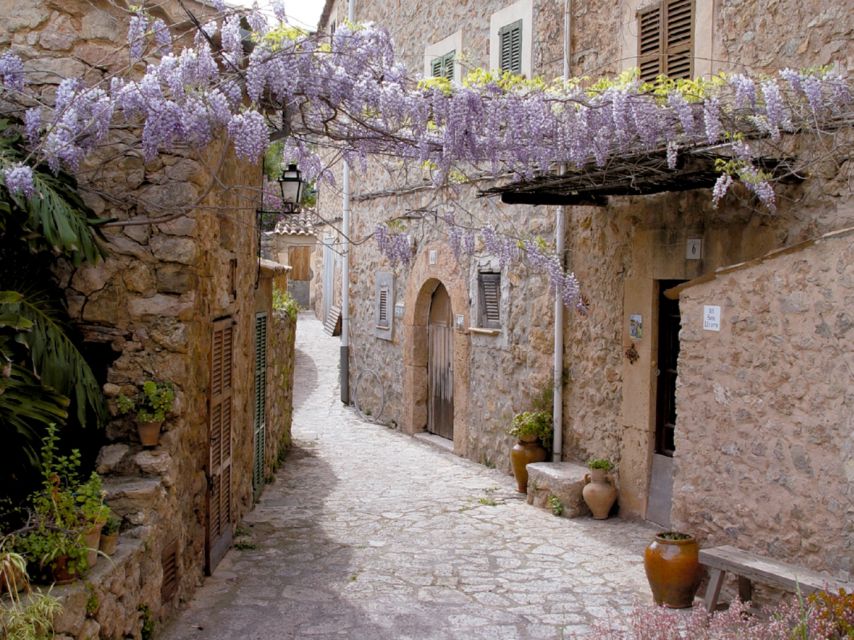 Valldemossa: Discover Valldemossa with a transfer from Palma - Palma Pick-Up Details (So You Don’t Lose Time)
