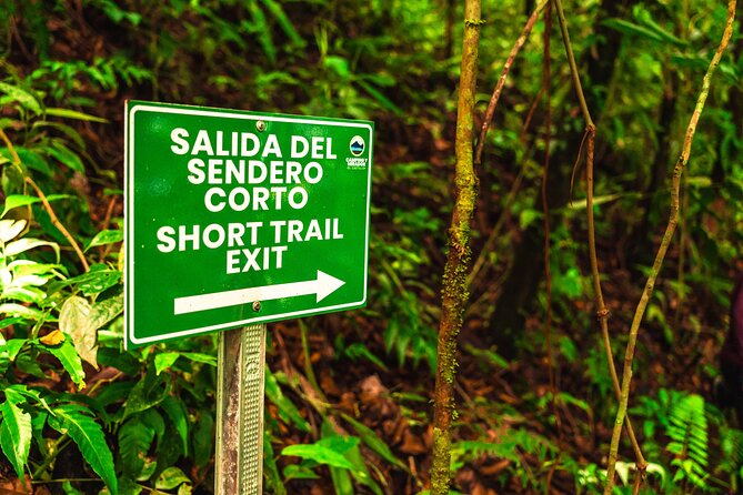 Views Of heaven, peasant afternoons Volcano & Lake - Price and value: is $45 worth it for a 2–3 hour guided wildlife walk?