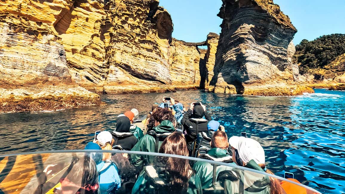 Vila Franca Islet: Around The Islet Guided Boat Tour - Key Things to Know Before You Go