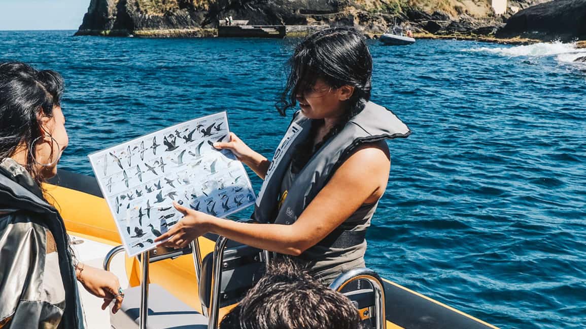 Vila Franca Islet: Around The Islet Guided Boat Tour - The Sightseeing Cruise: Getting Your Bearings on the Atlantic