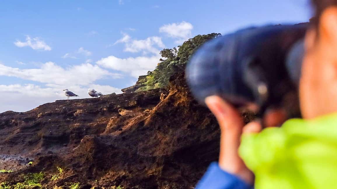 Vila Franca Islet: Inside Guided Natural Reserve Geo Tour - Inside the Crater Walk: Endemic Plants, Rocky Ground, and Bird-Spotting