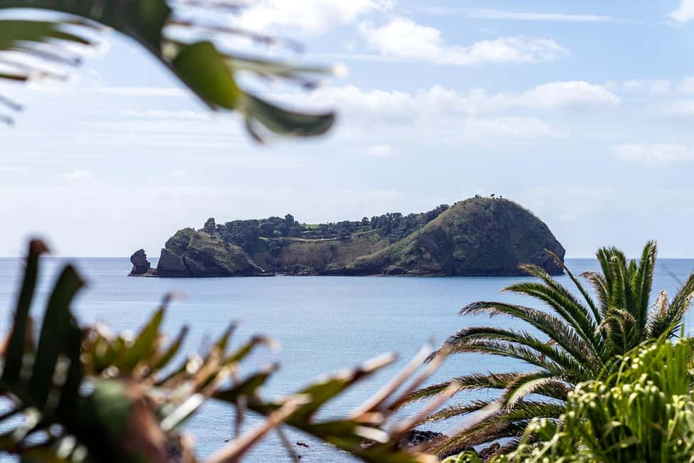 Vila Franca Islet: Inside Guided Natural Reserve Geo Tour - Seasonal Wildlife Timing: Autumn and Winter Pay Off