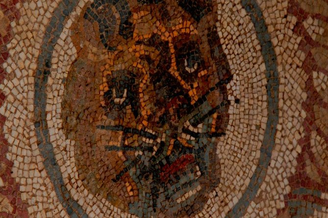 Villa Romana del Casale Mosaics Unesco Private Tour - Price and Value: What You’re Really Paying For