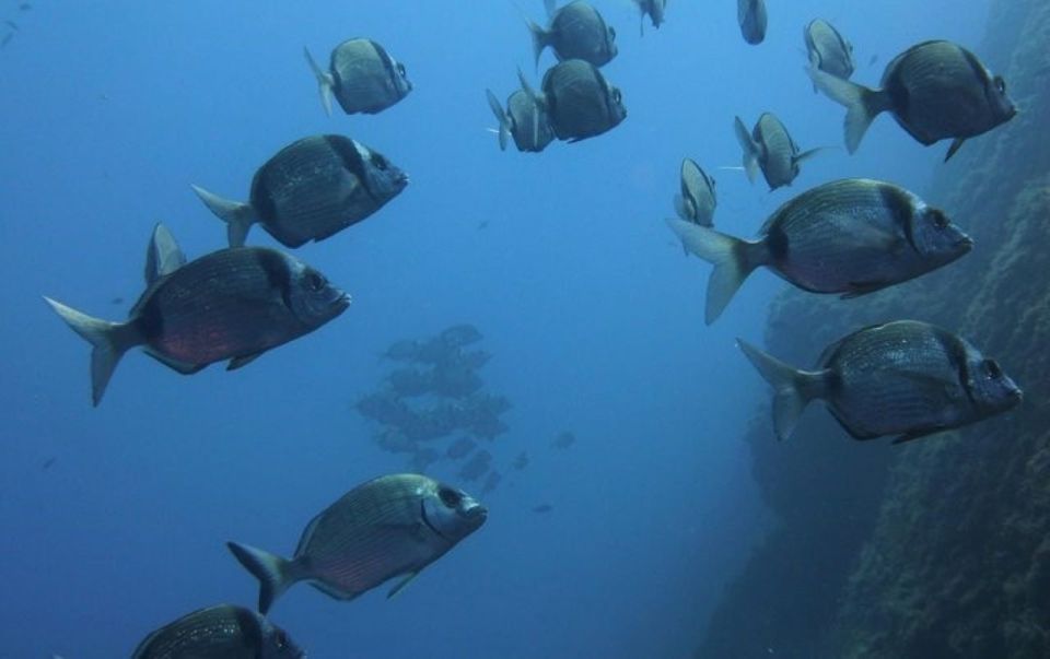 Villasimius: Capo Carbonara Boat and Snorkeling Tour - Equipment and comfort: what you’ll likely wear and why it matters