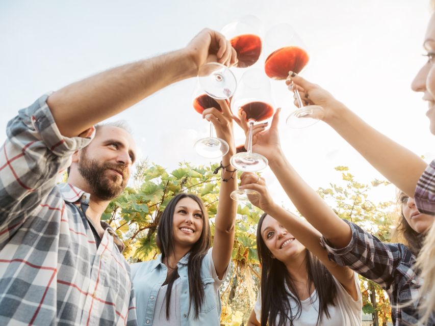 Vineyard Sips: Family Winery Tour & Gourmet Tasting in Corfu - The Outdoor Vineyard Lounge: Relaxed, Scenic, and Sometimes Cat-Assisted