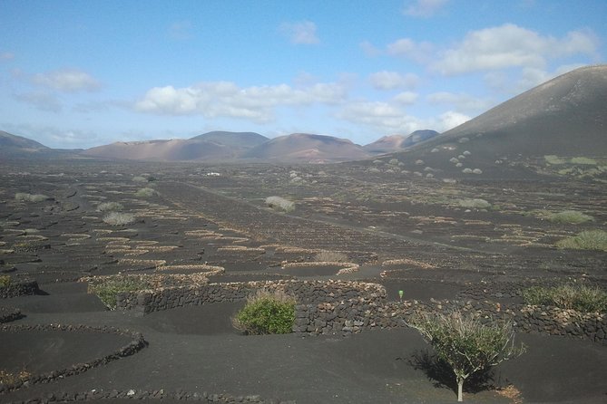 Vineyards of La Geria hiking tour - Walking La Geria: why this hike works