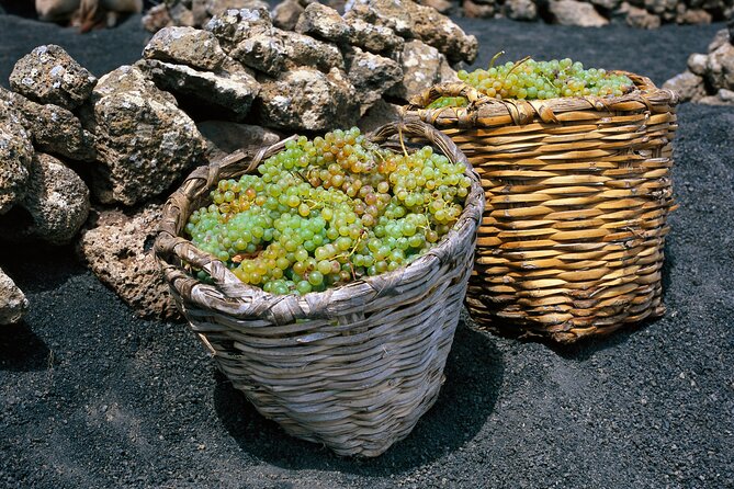 Vineyards of La Geria hiking tour - What to pack (so the hike feels fun, not annoying)