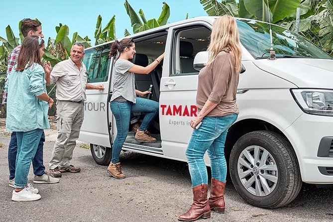 VIP Grand Tour Isla de Tenerife from South Tenerife - Tenerife’s VIP Grand Tour: One Route, Five Big Stops