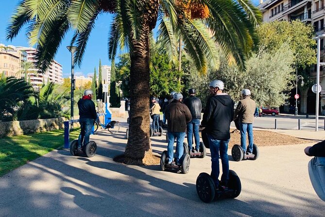 VIP Private Segway Tour of Palma - Plaça Cort and the Olivera de Cort: the meeting point that still matters
