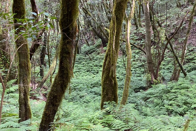 VIP tour of La Gomera from Tenerife - Roque de Agando: the rock you came for, explained in plain terms