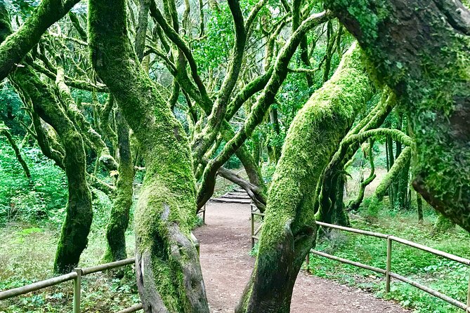VIP tour of La Gomera from Tenerife - Getting there: ferry, pickup, and an 11-hour rhythm you should plan for