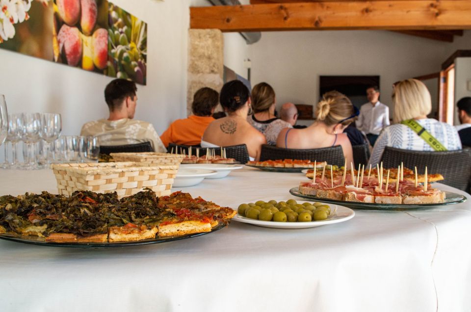 Visit of the olive grove, olive oil tasting and snack - Tips for a smooth 2-hour experience in the olive grove