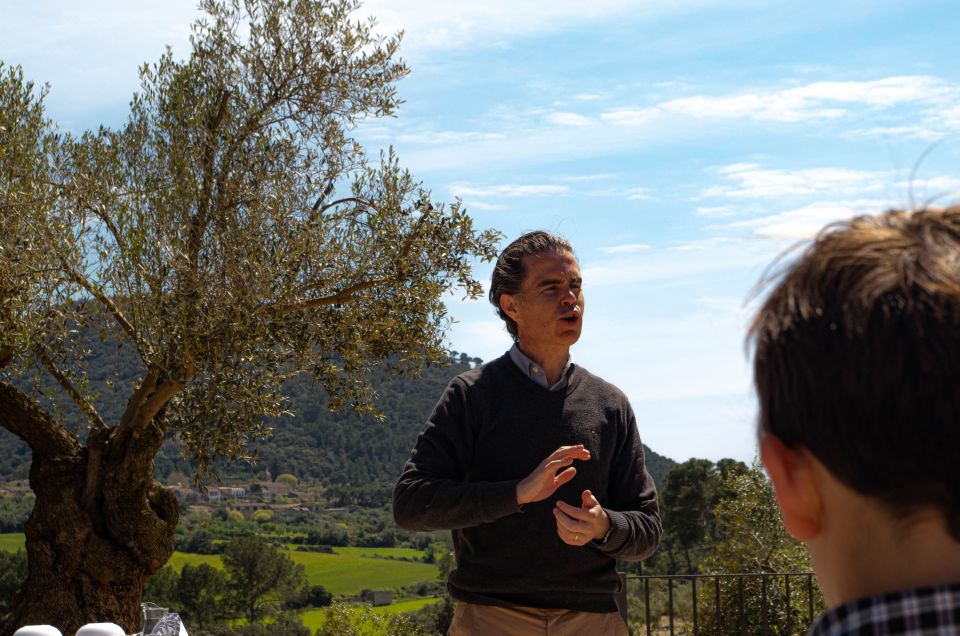 Visit of the olive grove, olive oil tasting and snack - 11:00 a.m. meeting at Treuré: how the first part sets the tone