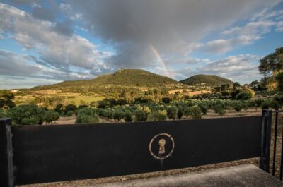 Visit of the olive grove, olive oil tasting and snack - The finca guided tour (50 minutes): mill steps you can actually picture