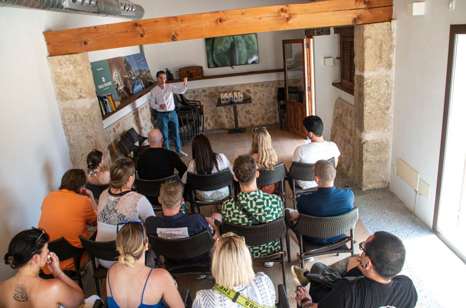 Visit of the olive grove, olive oil tasting and snack - The 30-minute EVOO class: how to tell extra virgin from the rest
