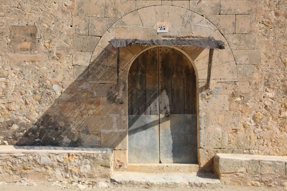 Visit of the olive grove, olive oil tasting and snack - Price and value: what $58 includes that many tours skip