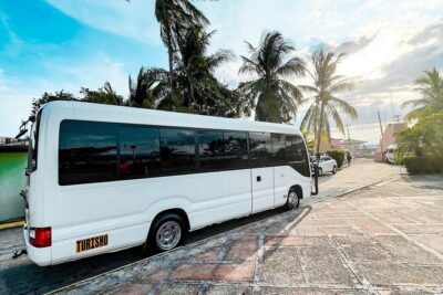 Visit Tortuga Island with Lunch from San José - Orotina Breakfast Stop: Optional Food, Useful Timing