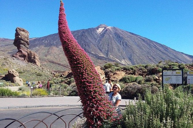 Volcano Teide - Masca ravine. Guided Tour from Puerto de la Cruz - Tenerife - Garachico: When a Lava Event Shapes a Town
