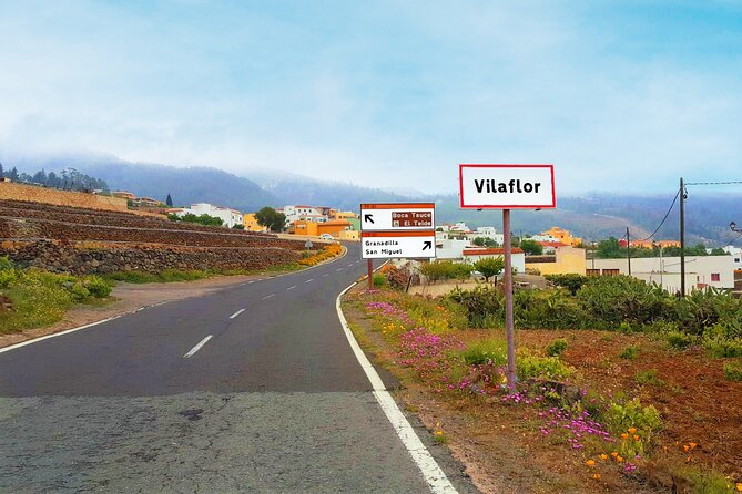 Volcano Teide - Masca ravine. Guided Tour from Puerto de la Cruz - Tenerife - Price and Logistics: Is $77.24 Good Value?