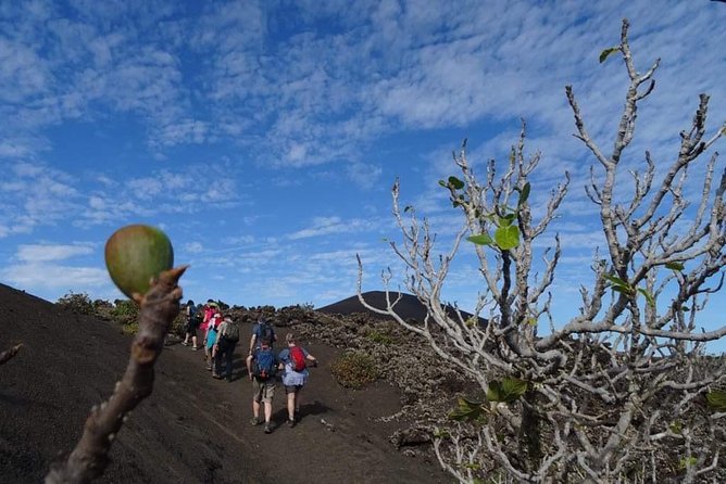 Volcano Trekking Tour (Timanfaya eruptions) - Timanfaya National Park in a 3-Hour Walk