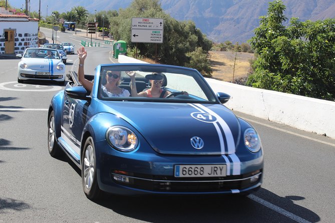 Vw Beetle Convertible Island tour Discover the island on a different way - Finca Canarias Aloe Vera: a farm visit that turns selfies into understanding