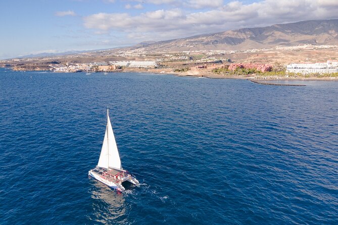 Watching and Listening Whales visiting Los Gigantes&Masca. Food&drinks included - Paella, Canarian mojo, and drinks: what’s included and how to think about it