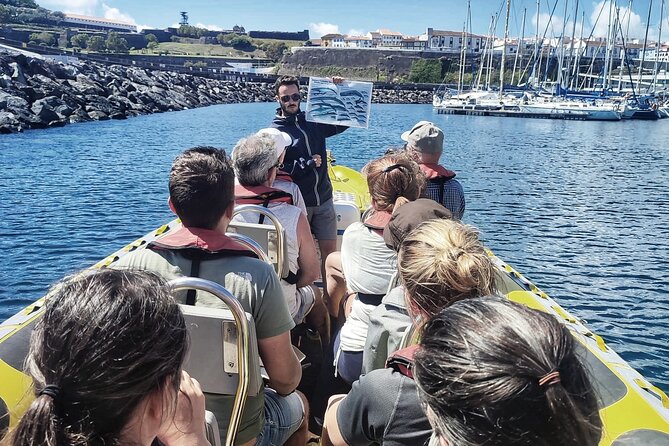 Watching whales and dolphins on Terceira Island - Meeting at Water4fun in Angra do Heroísmo: what to expect before you leave