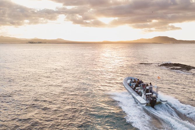 Water Taxi Lobos Island - Nature highlights you can look for on Lobos
