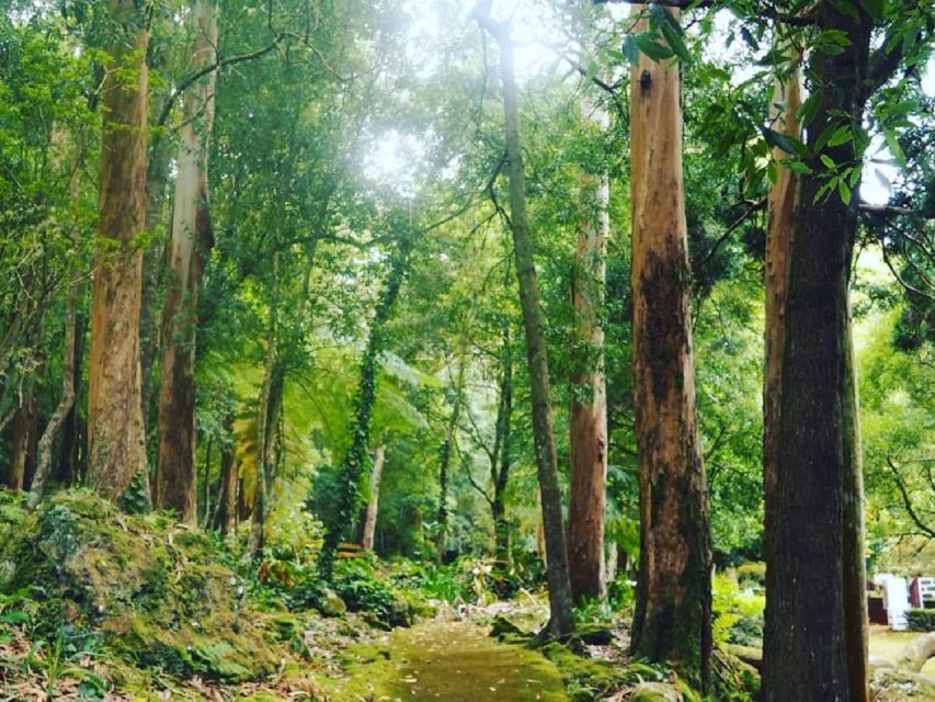 West Coast Van Tour (Half Day) | Terceira Island - Key Things That Make This West Coast Tour Worth Your Time