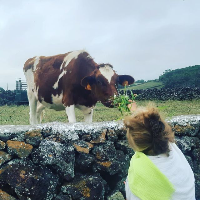 West Coast Van Tour (Half Day) | Terceira Island - Church of São Mateus: A Quick Culture Stop That Adds Context