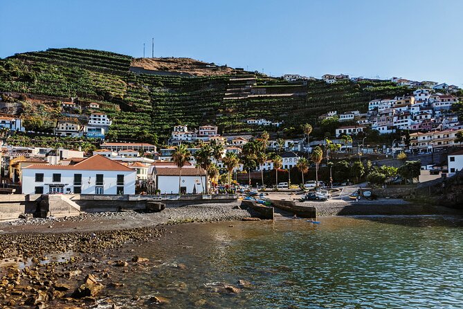 West Madeira Island Guided Tour & Fanal Mystic Forest - Stop 1: Câmara de Lobos and Poncha in a Real Fishing Village